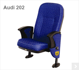 Audi 202